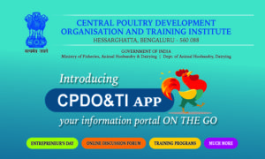 CPDO & TI App