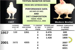 TI Intake Pic