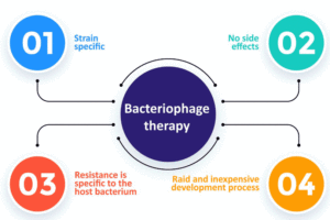 Bacteriophages 