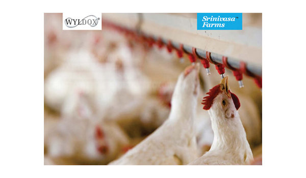 Wyldox-Srinivasa Partnership: Torchbearers of Growth in Poultry Sector