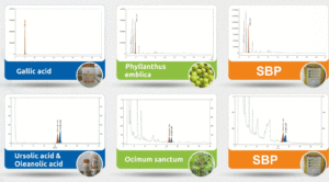 Reference phytochemicals are selected to be standardized in SBPs.