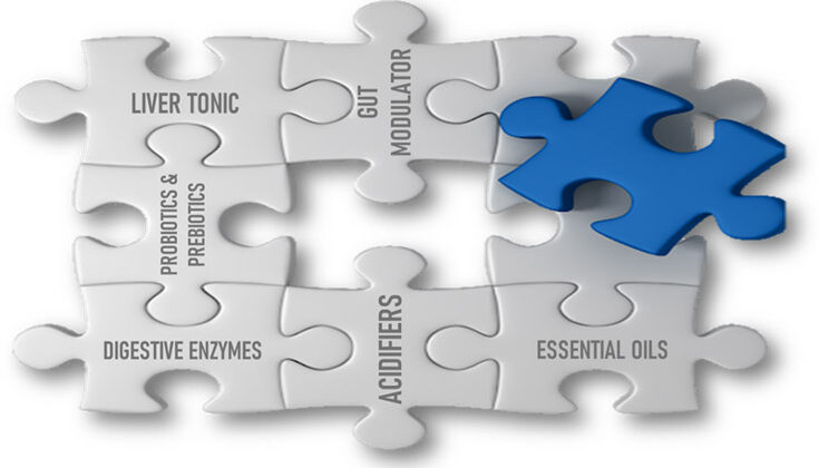 Dietary Modulations for better feed efficiency