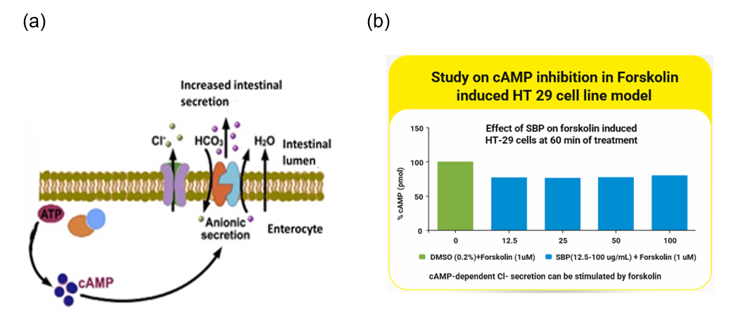 Figure 1. Results of an in-vitro assay