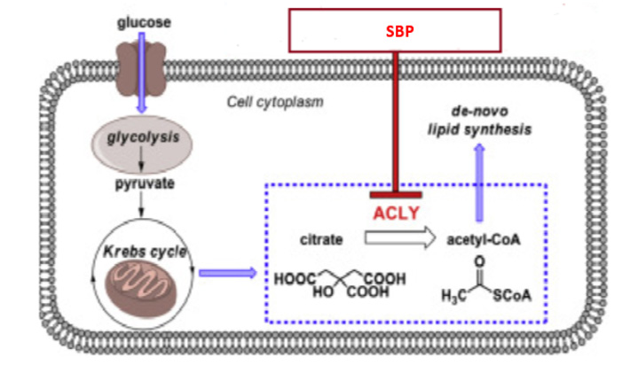 Figure 3: OMICs study results from the Lipid genomics study on ACLY gene expression.