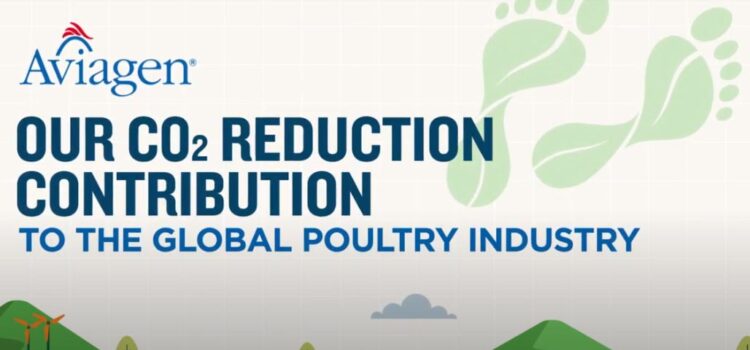 Breeding Sustainability – Aviagen Illustrates CO2 Reduction Contribution to Global Poultry Industry