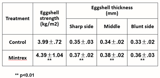 MINTREX improves eggshell strength and eggshell thickness in layer