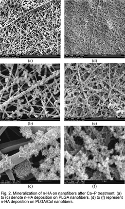 Mineralization of n-Ha