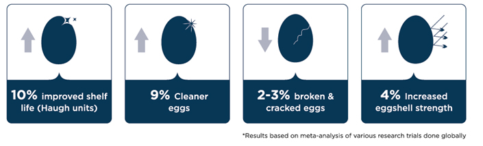 Novus meta-analysis of various research 