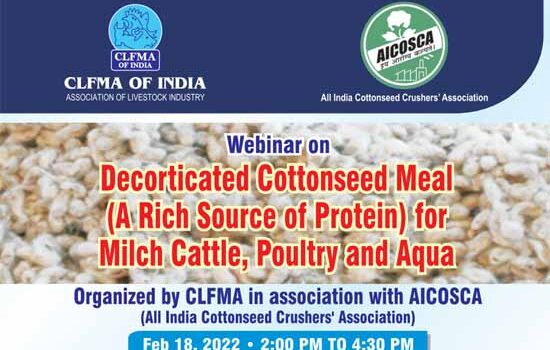 Webinar on Decorticated Cottonseed Meal