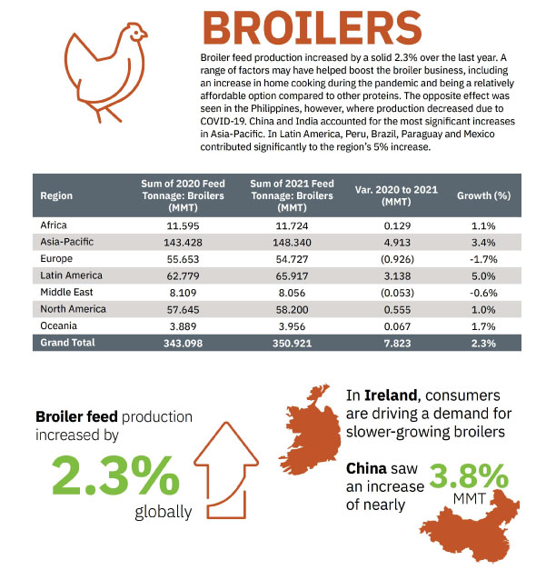 The Broiler Sector