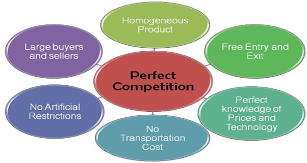 Fig: Fundamental Components of a perfect competition environment 