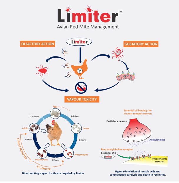 Avian Red Mite Management pic