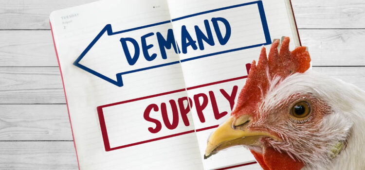 Explicating Demand and Supply in Indian Poultry Sector: A Macroeconomic Perspective