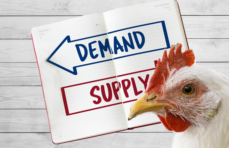 explicating-demand-and-supply-in-indian-poultry-sector-a-macroeconomic