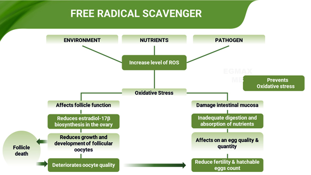 Fig 4: Factors responsible for oxidative stress