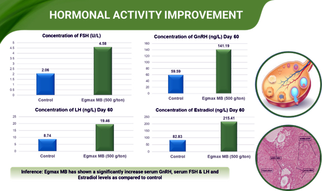 Fig 5: Graphical representation of GnRH, ESTRADIOL, LH & FSH in birds treated with Egmax®MB