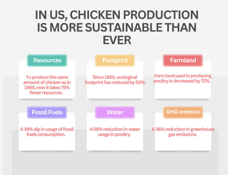 Farm To Table: Sustainable Journey Of The Poultry Industry | Poultry TRENDS