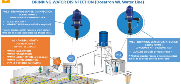 Treatments/ Vaccinations & Drinking Water Disinfection