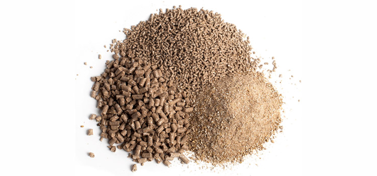 Introduction to Protein sources used in Poultry Feed