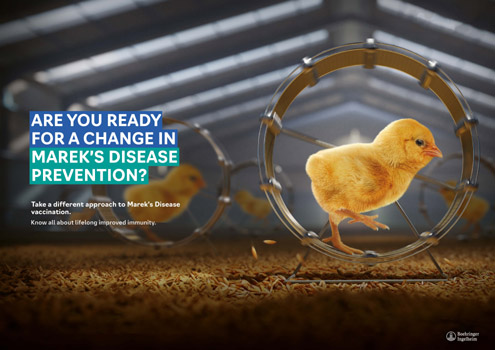 Boehringer Ingelheim launches next generation poultry vaccine in India