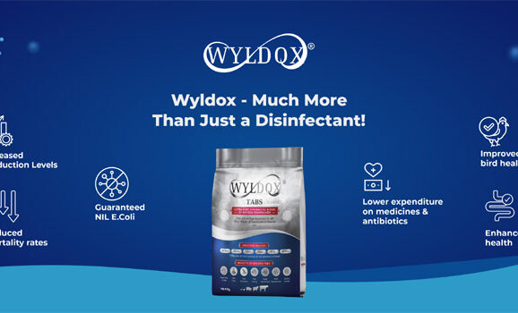 Wyldox Title image